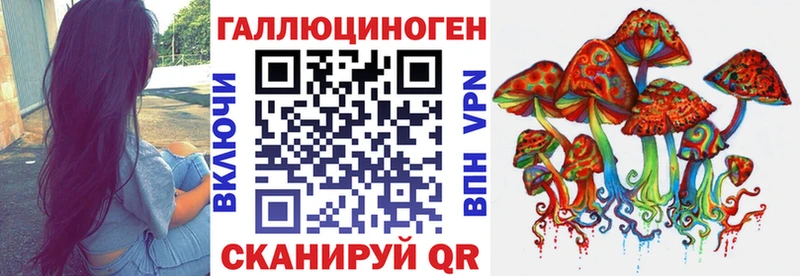 мега рабочий сайт  Ессентуки  Псилоцибиновые грибы Psilocybe 