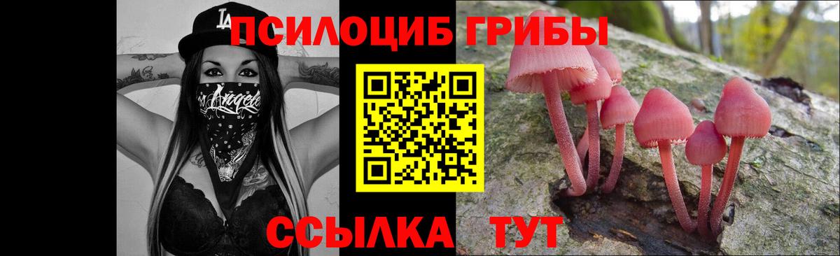 Ессентуки  Галлюциногенные грибы прущие грибы  Галлюциногенные грибы MAGIC MUSHROOMS  где можно купить   Вход с VPN 