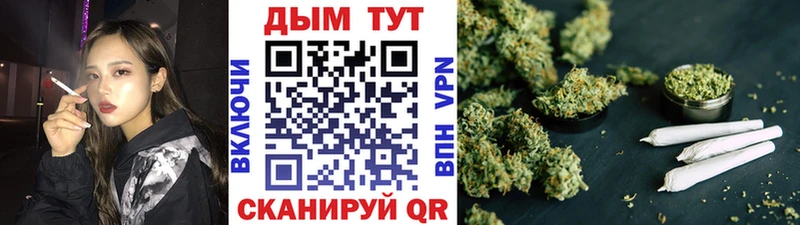 Каннабис SATIVA & INDICA  купить наркотики цена  Ессентуки 